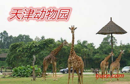 天津动物园
